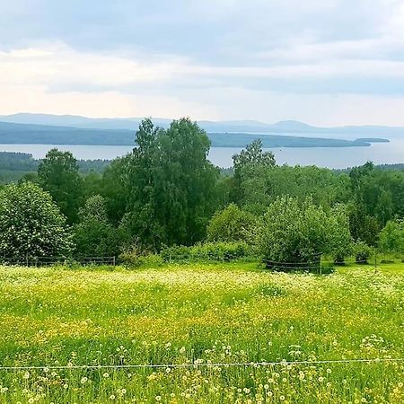 Utsikten -Exklusivt Nybyggt Timmerhus -Plintsberg. テルベリ エクステリア 写真