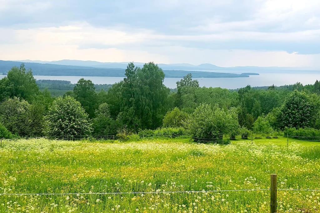 Utsikten -Exklusivt Nybyggt Timmerhus -Plintsberg. テルベリ エクステリア 写真