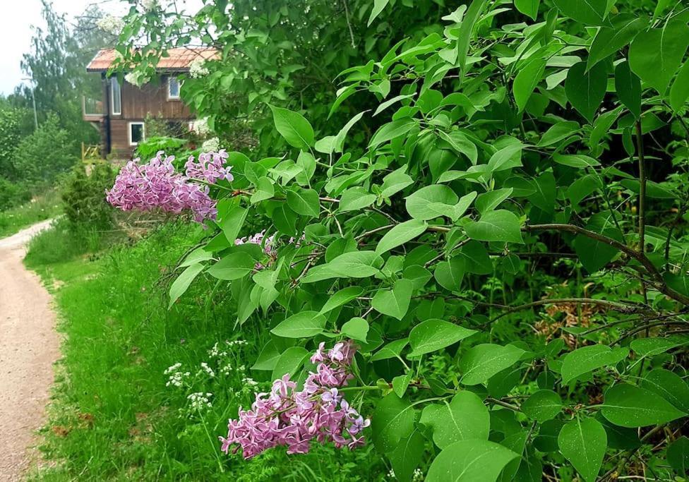 Utsikten -Exklusivt Nybyggt Timmerhus -Plintsberg. テルベリ エクステリア 写真